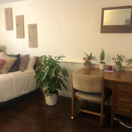Quiet-Comfy 3 Bedroom Home On A Tree Lined Street In Kits バンクーバー エクステリア 写真