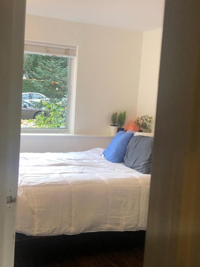 Quiet-Comfy 3 Bedroom Home On A Tree Lined Street In Kits バンクーバー エクステリア 写真
